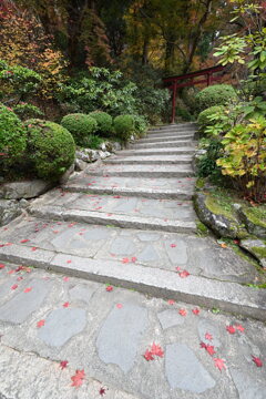 落ちてるだけで