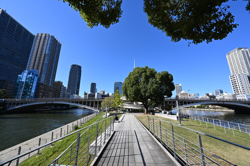 ダブルブリッチ