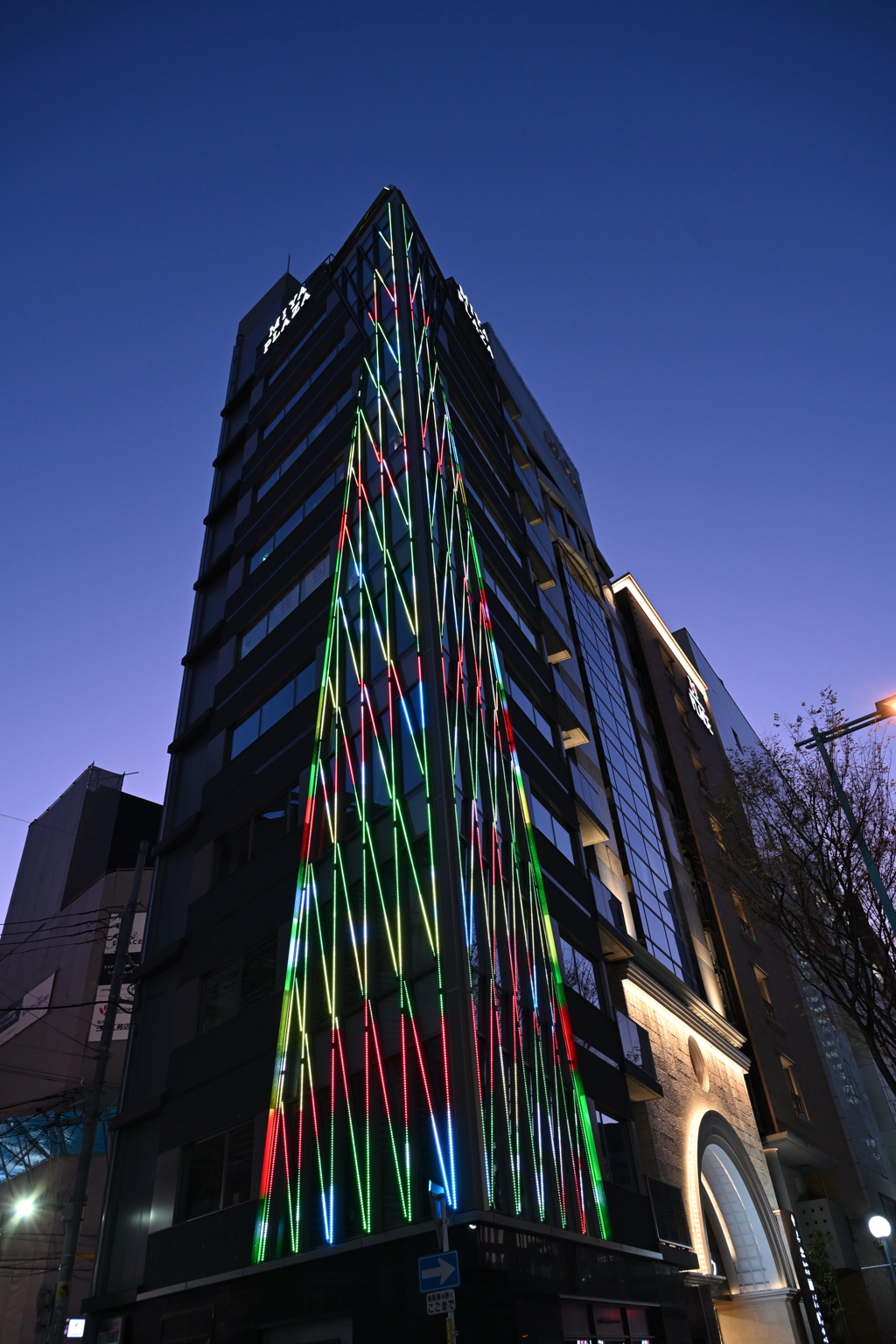 これはもしかしてクリスマスツリー？