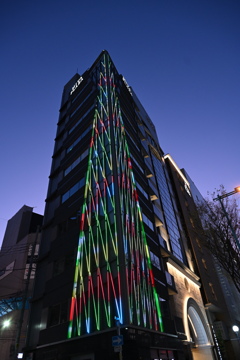 これはもしかしてクリスマスツリー？