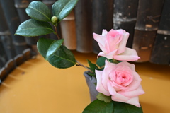 バラですよねぇ