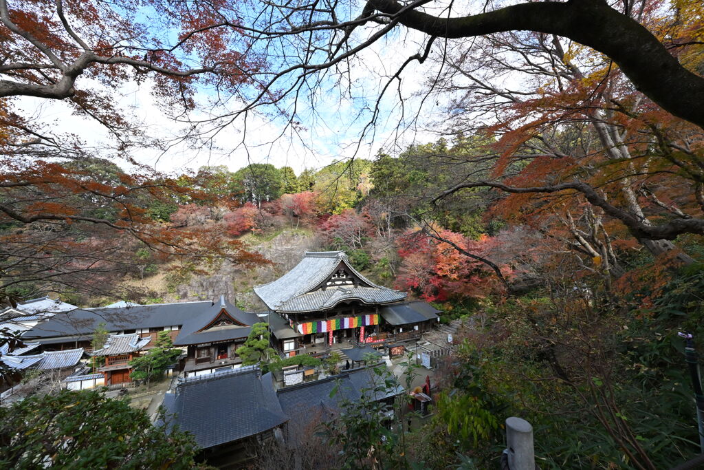 岡寺さん上から失礼します