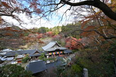 岡寺さん上から失礼します