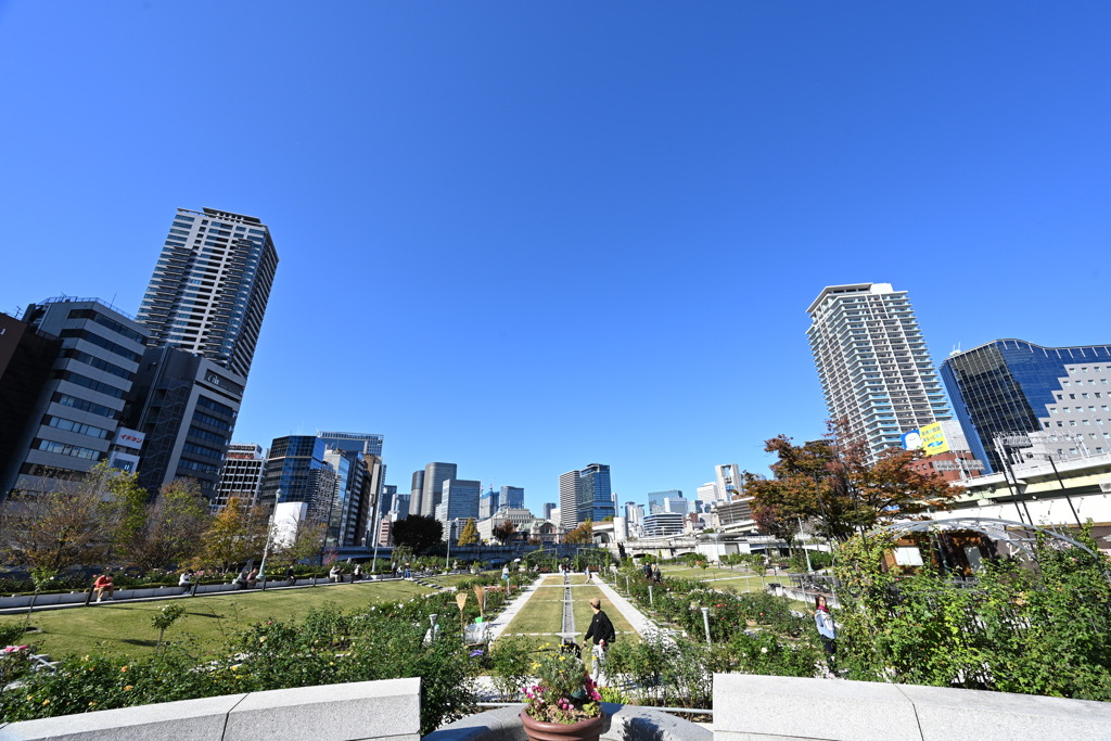 都会のオアシス