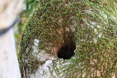 誰か入ってますかぁ