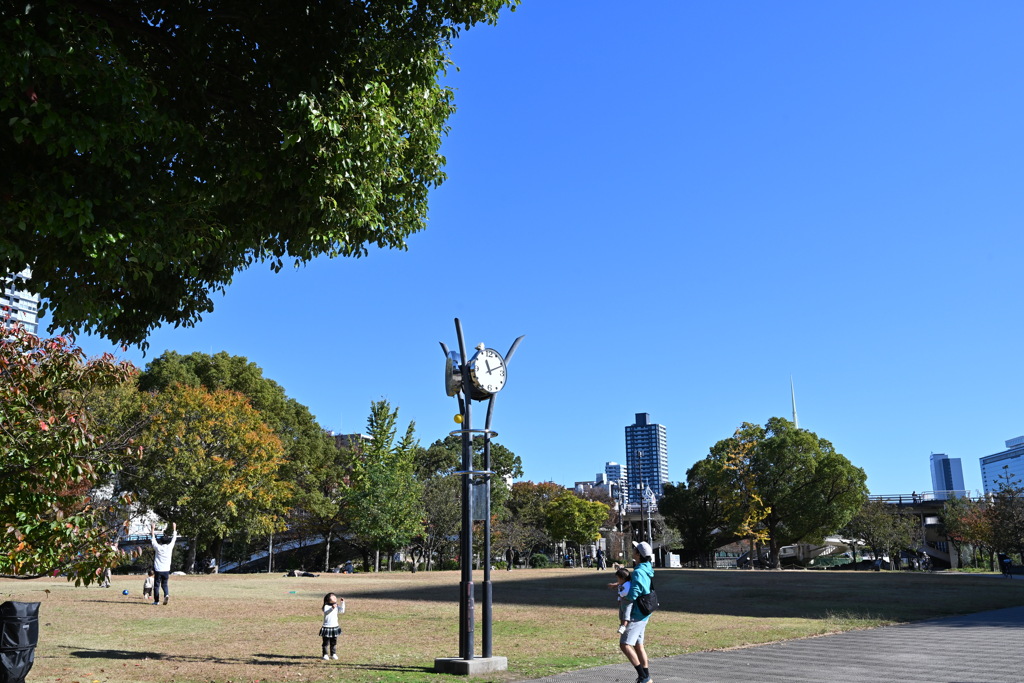 秋晴れの公園