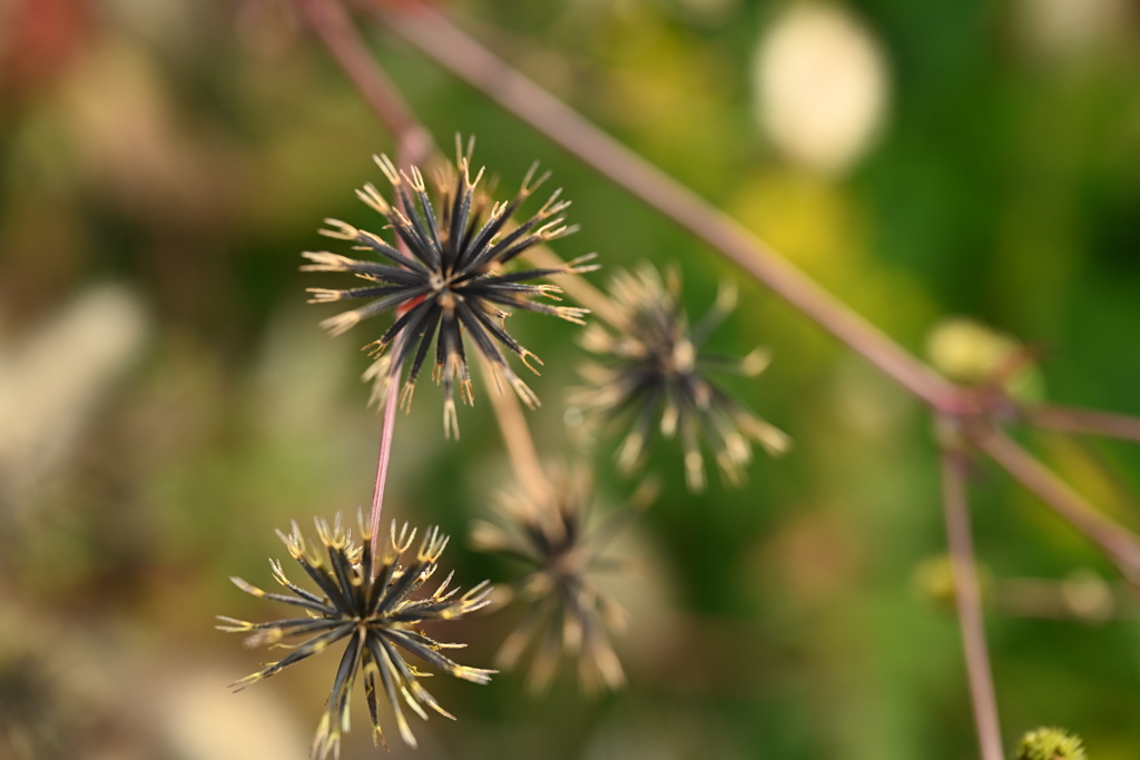 これ引っ付くやつ
