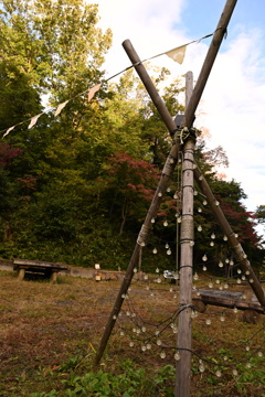 朝のキャンプ場