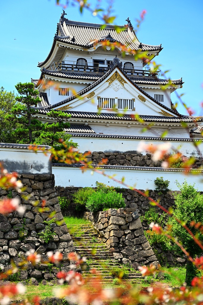 岸和田城２０２５．夏