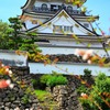 岸和田城２０２５．夏