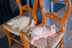 トンでもないピザ屋の常連