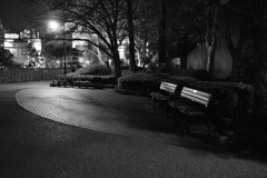 夜の不忍池②