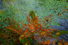 油絵のような世界