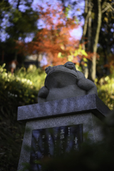 赤いとさか