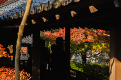 御屋敷の庭-渡り廊下- その1