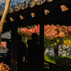 御屋敷の庭-渡り廊下- その1
