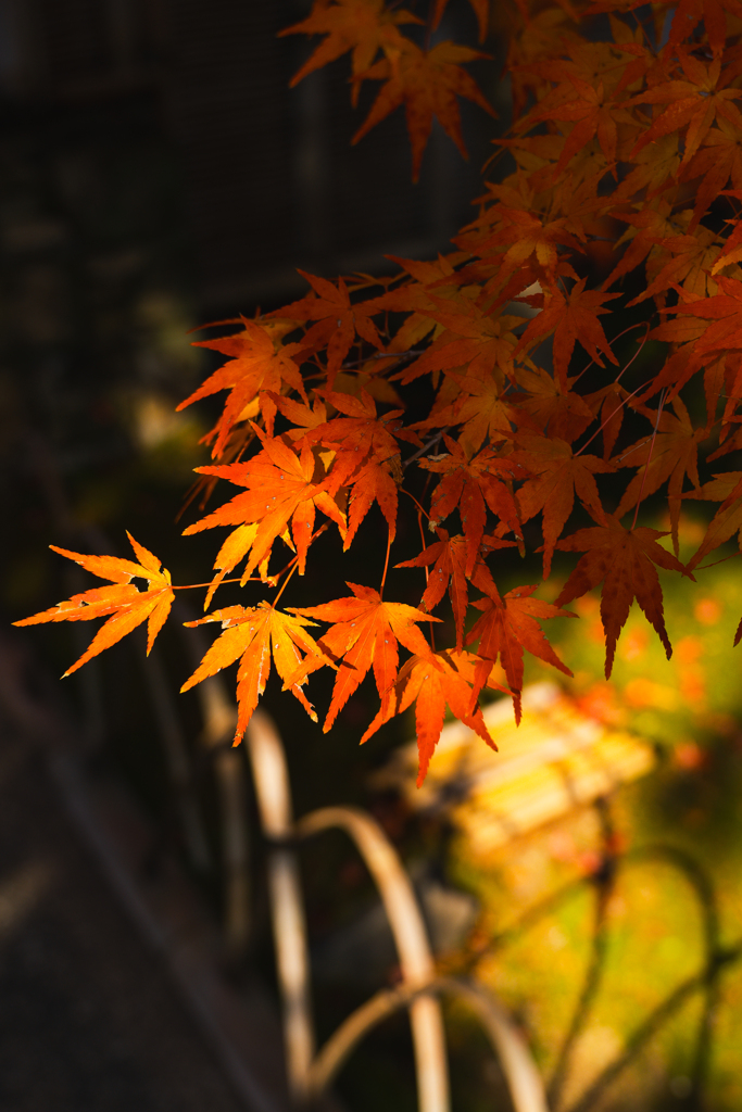 秋の情緒