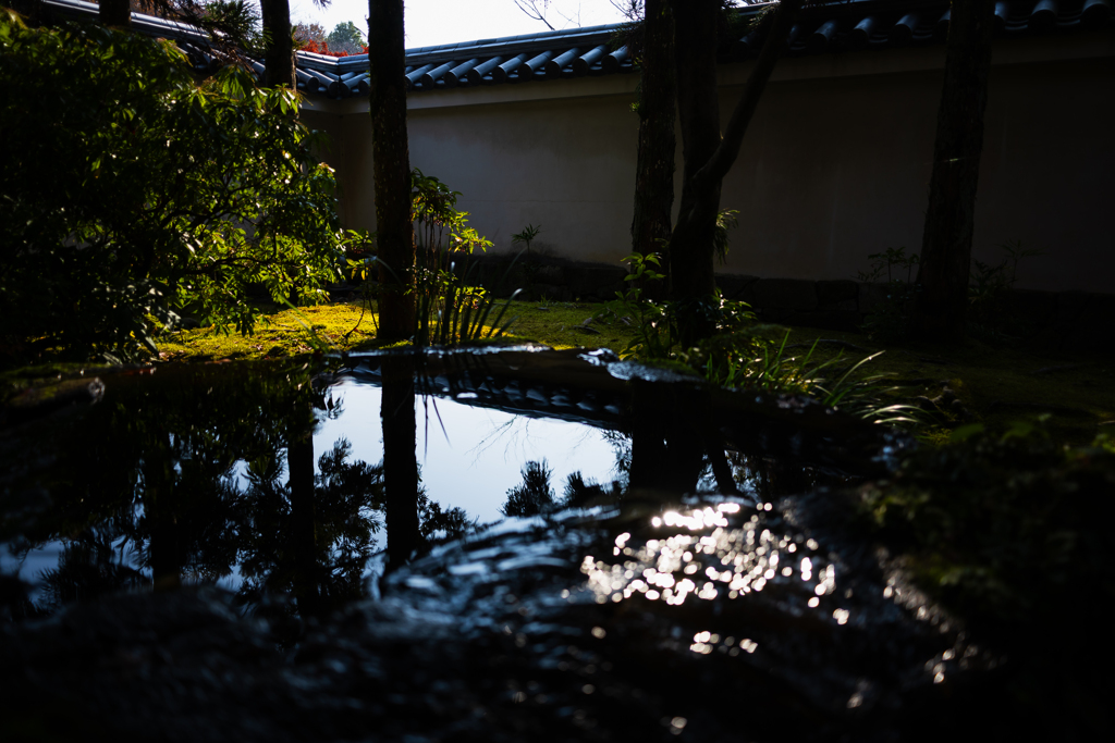 御屋敷の庭-井泉-