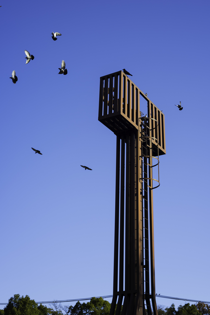鳩追いしかの空