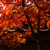 紅葉と瓦 その2