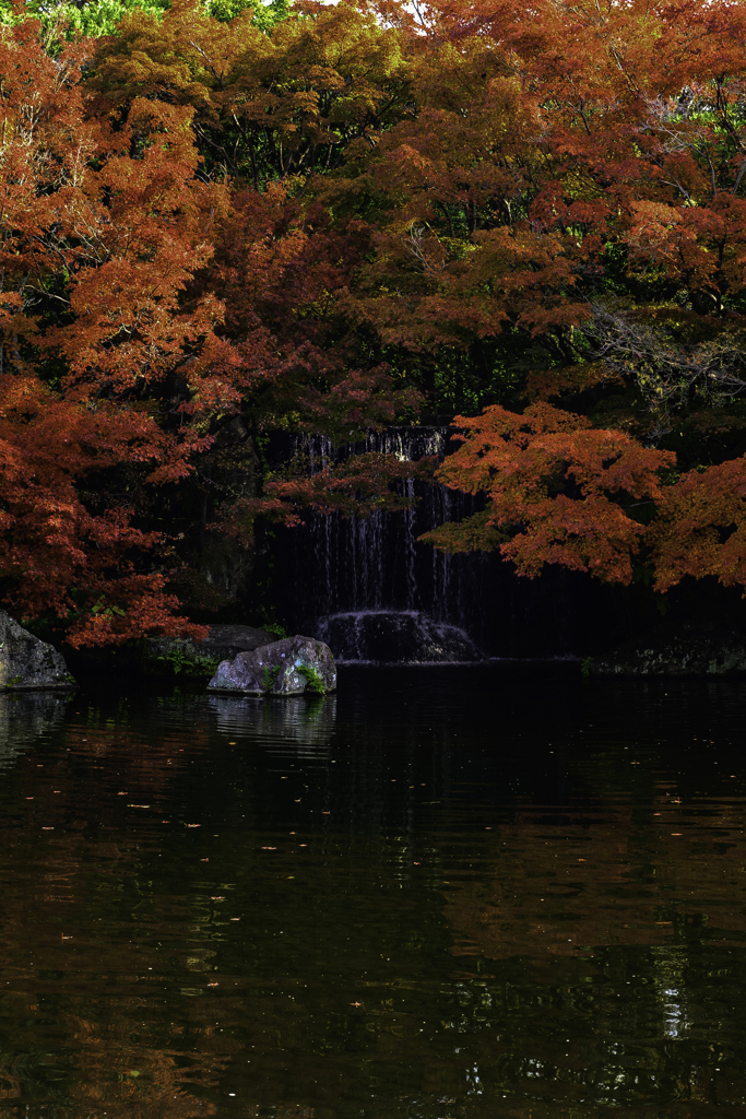 御屋敷の庭-大滝-