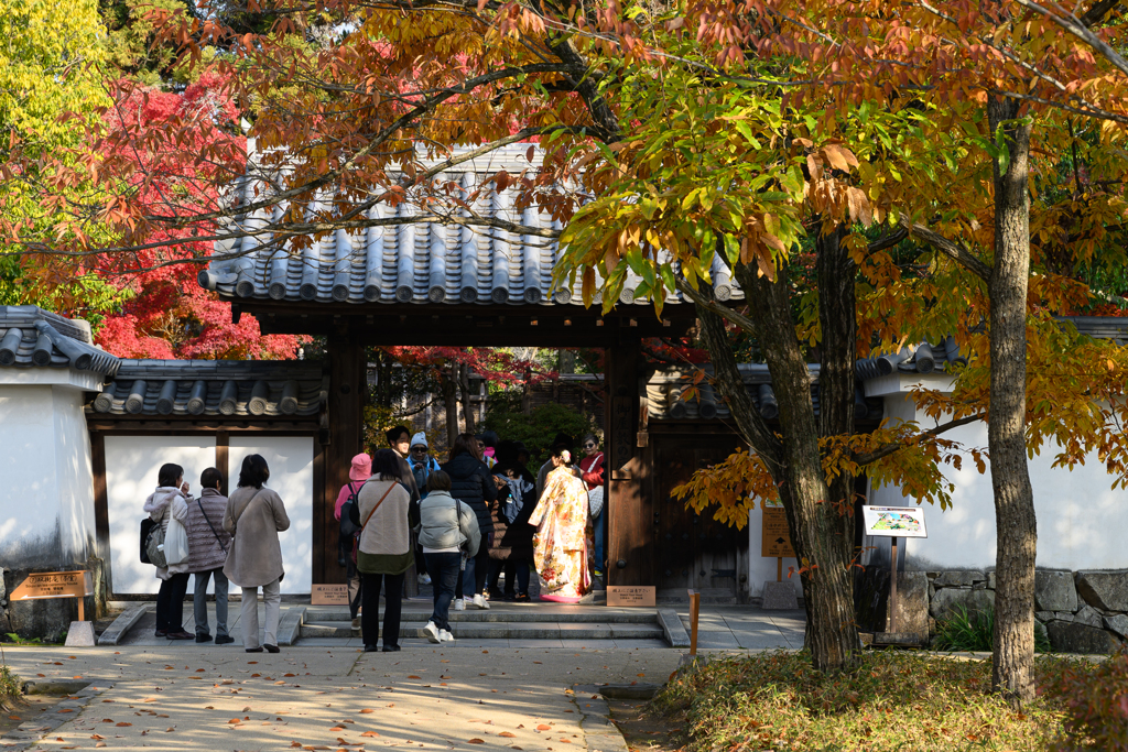 御屋敷の庭-入口-