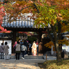 御屋敷の庭-入口-