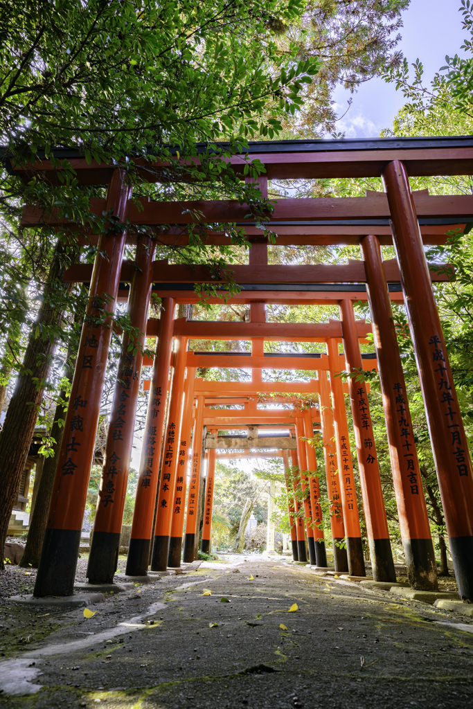 姫路神社の鳥居