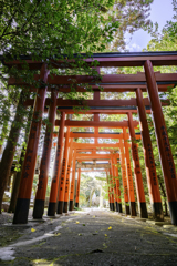 姫路神社の鳥居