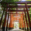姫路神社の鳥居