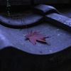 瓦に落ちた紅葉