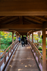御屋敷の庭-渡り廊下- その2
