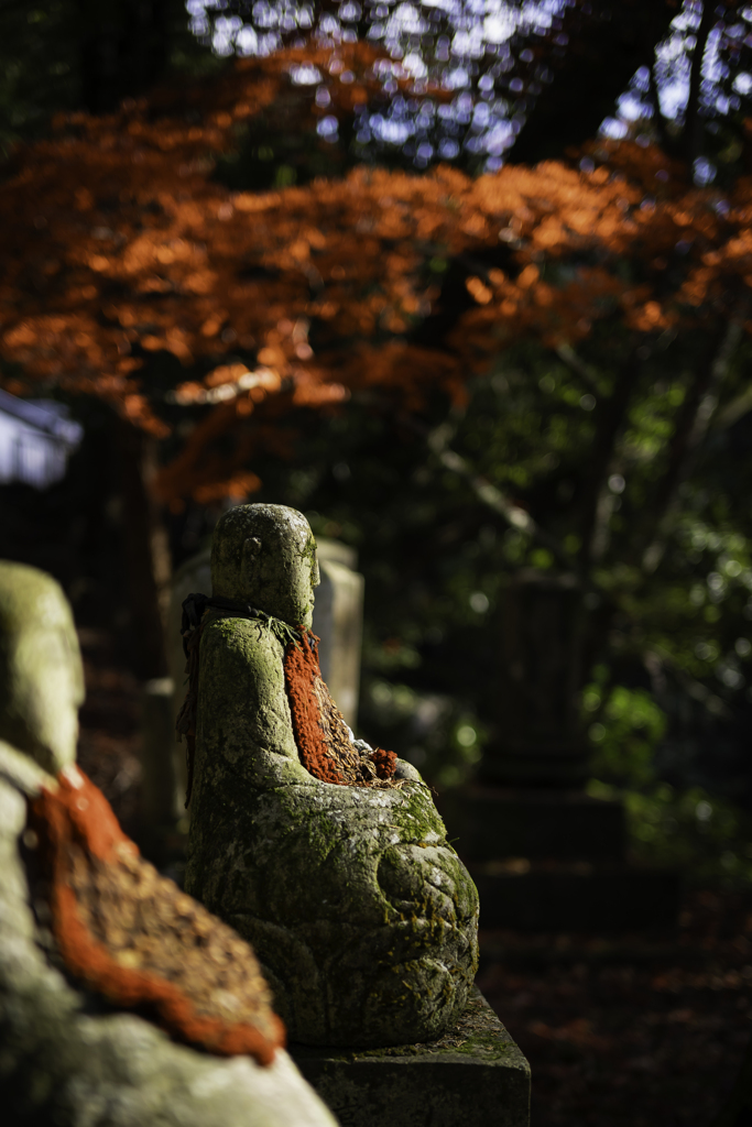 紅に染まる