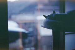曇天