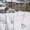 初雪の日
