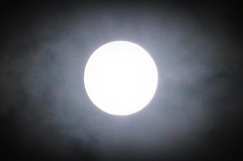 慣例（だから）