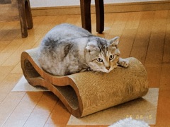 スマホで遊ぼう3