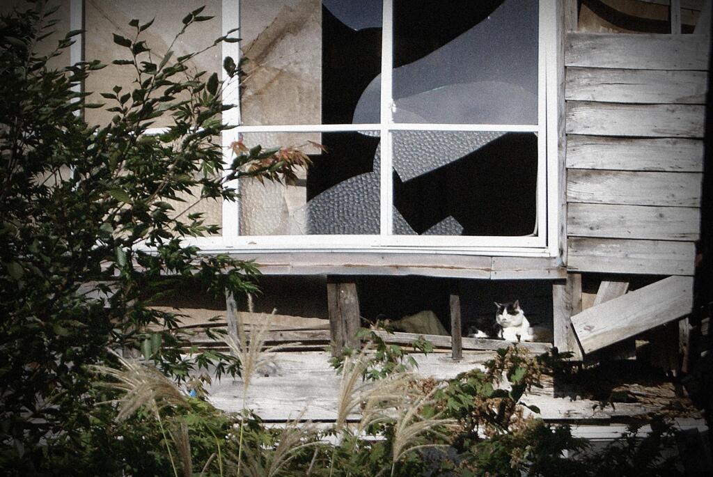 廃屋の住人