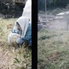早朝の草刈り