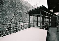 あえてこの先に進むまい - ２