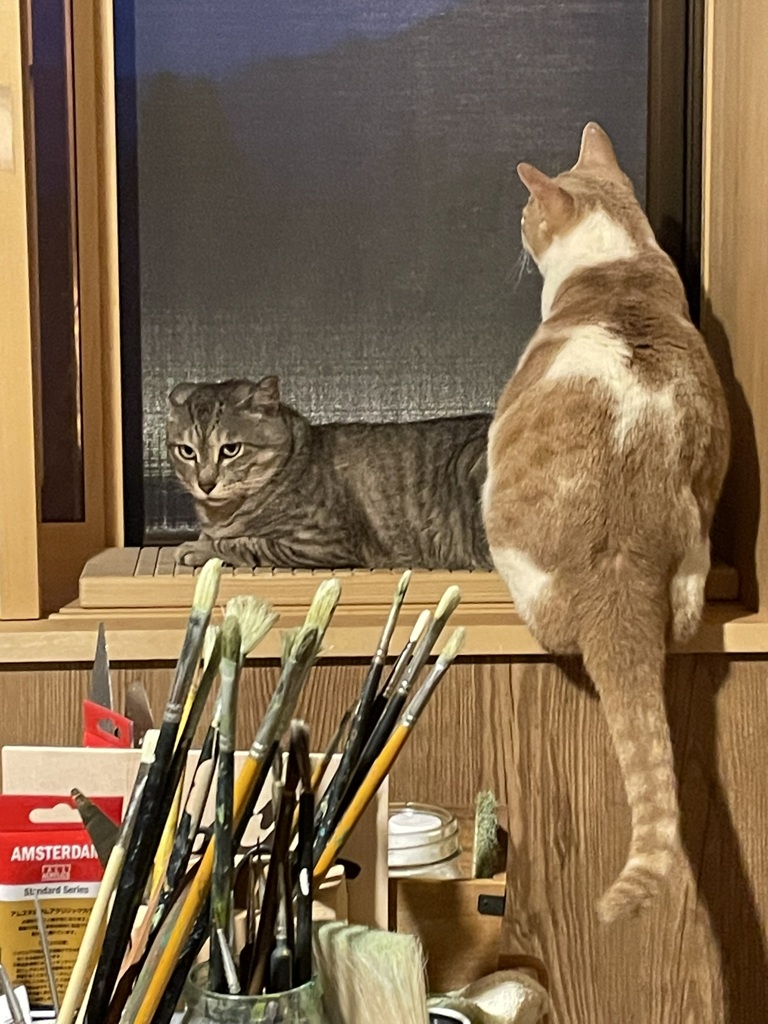 サバと白茶