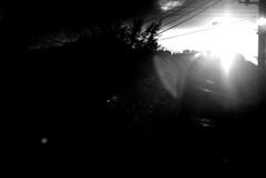 Our Sun