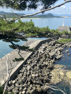 岩戸6