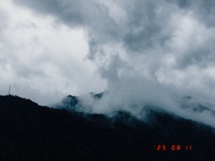 背後の山