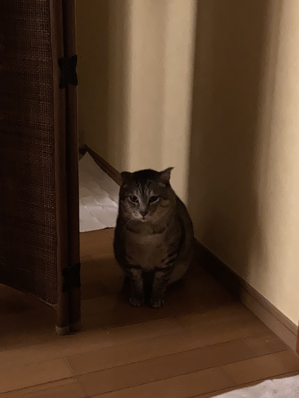 距離感