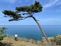 岩戸3