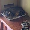 そこがいいんか