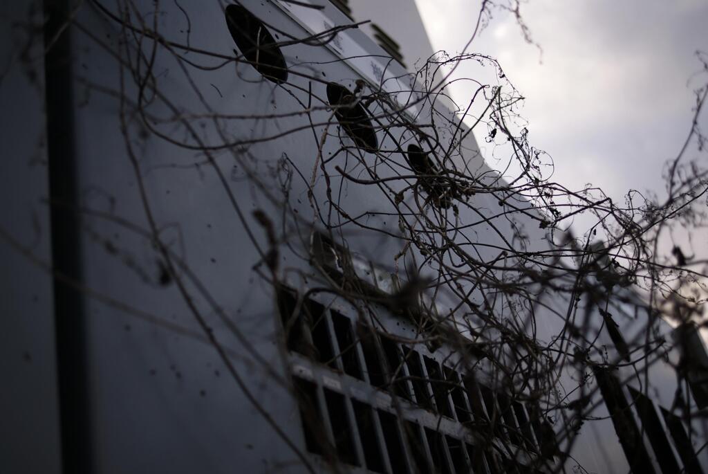 abstraction-002「自責の念」