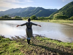 田植えの朝