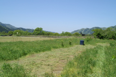 極小農家のリアル
